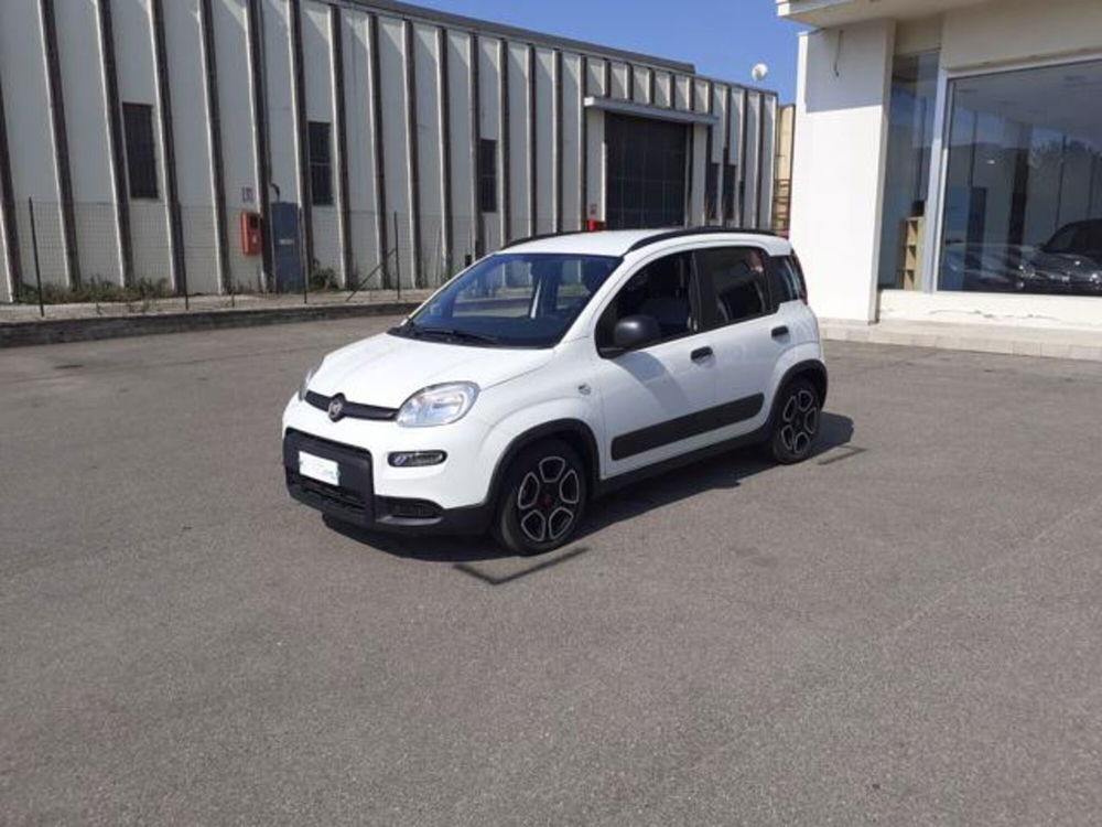 Fiat Panda usata a Firenze (8)