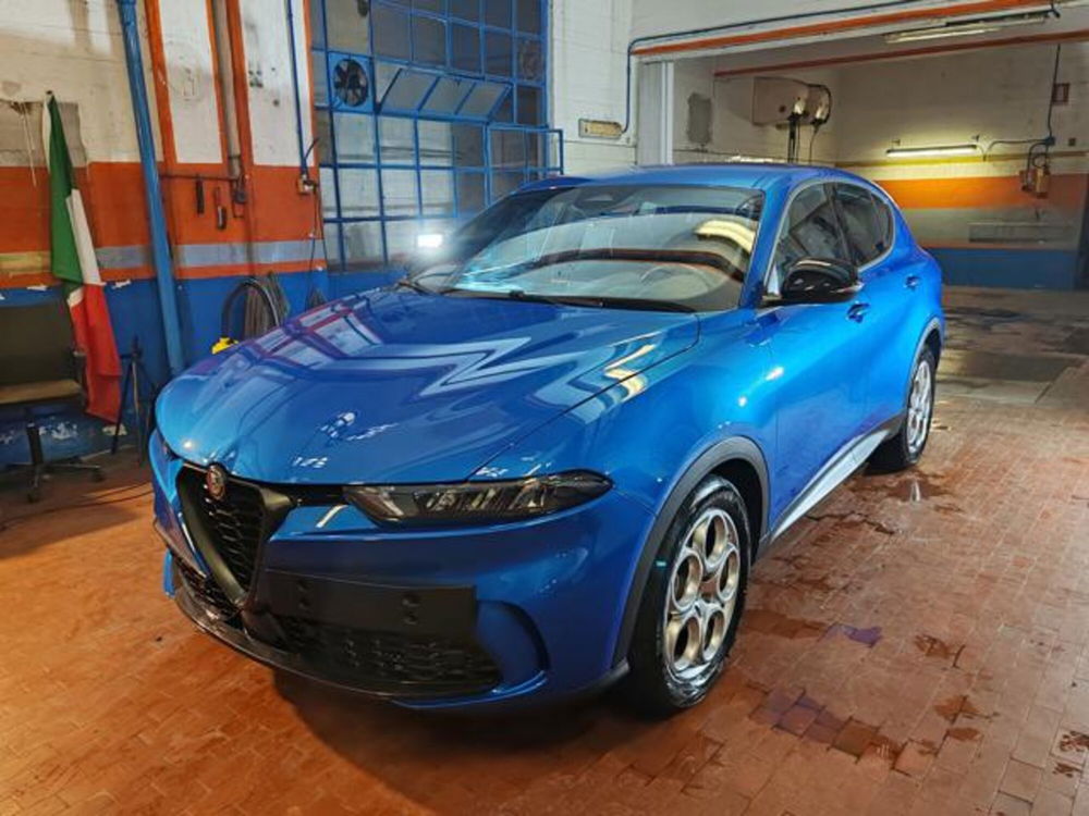 Alfa Romeo Tonale usata a Torino