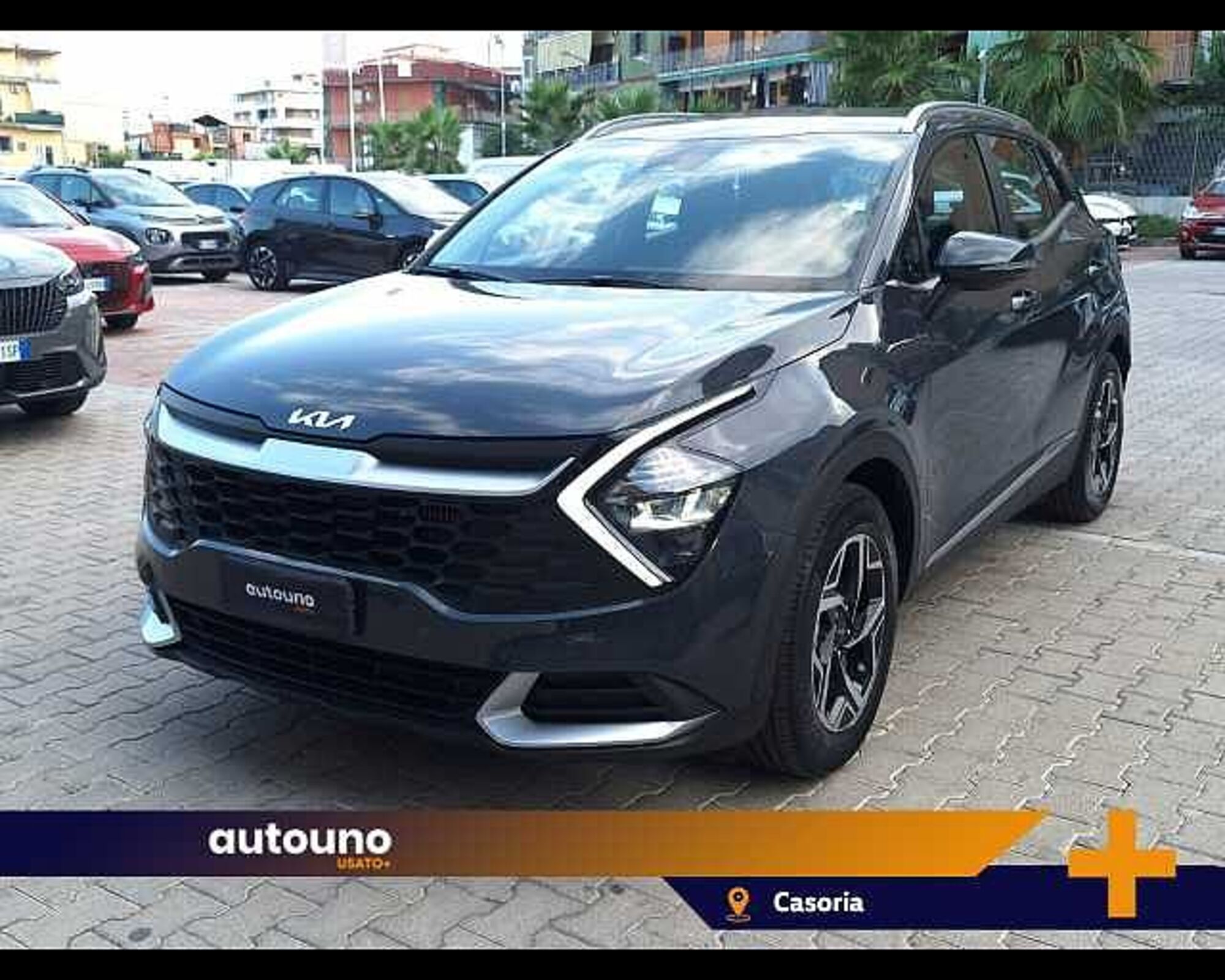 Kia Sportage 1.6 tgdi Business Gpl 2wd del 2023 usata a Casoria