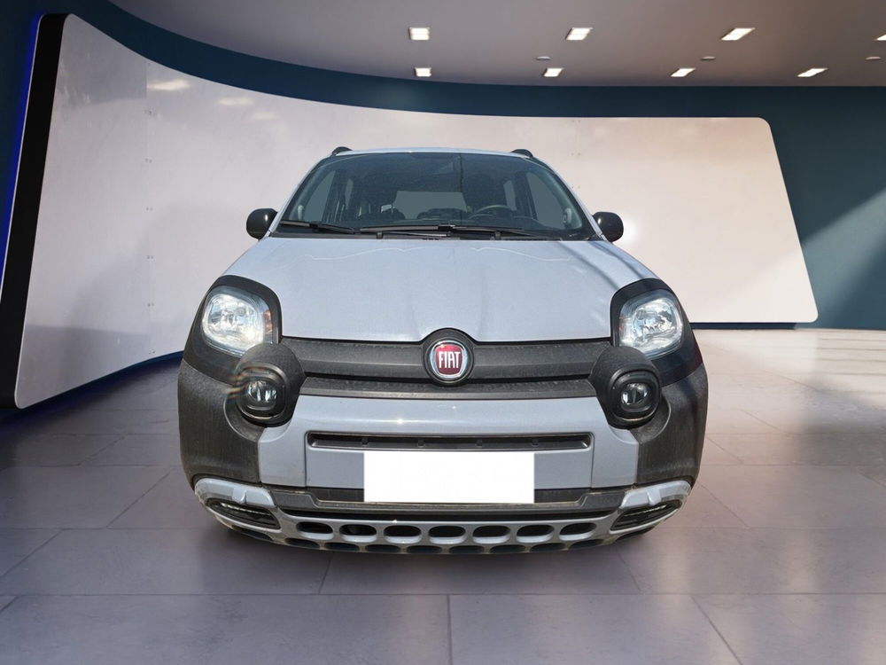 Fiat Panda Cross usata a Torino