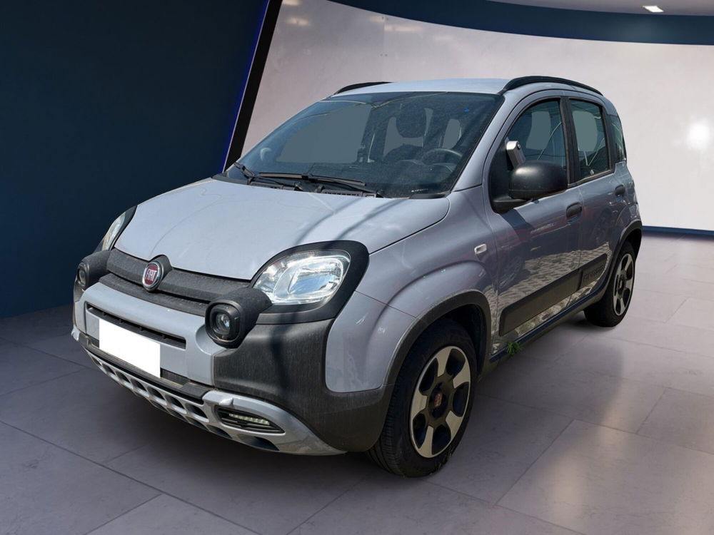 Fiat Panda Cross usata a Torino (2)