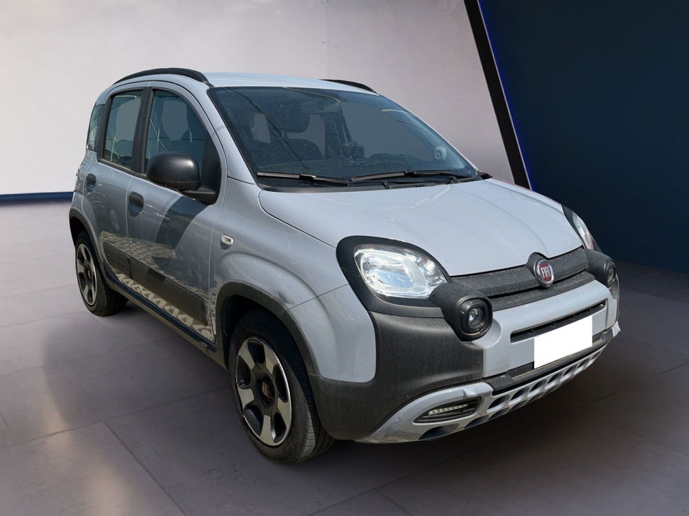 Fiat Panda Cross usata a Torino (3)