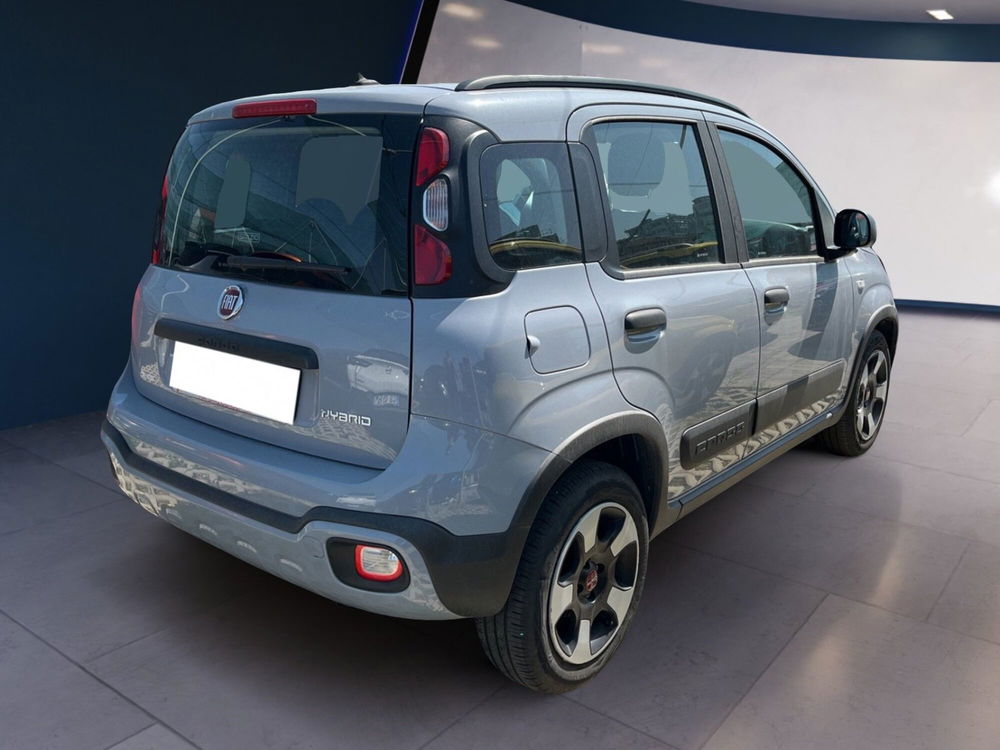 Fiat Panda Cross usata a Torino (4)