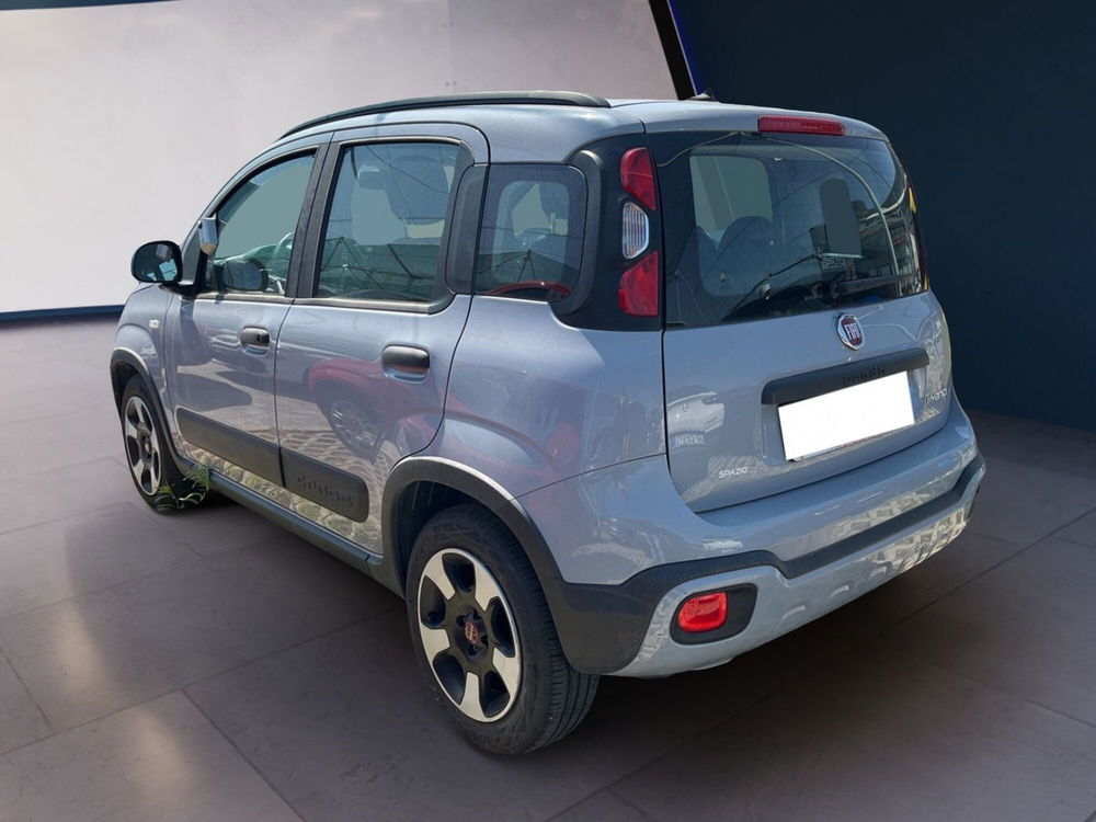 Fiat Panda Cross usata a Torino (5)