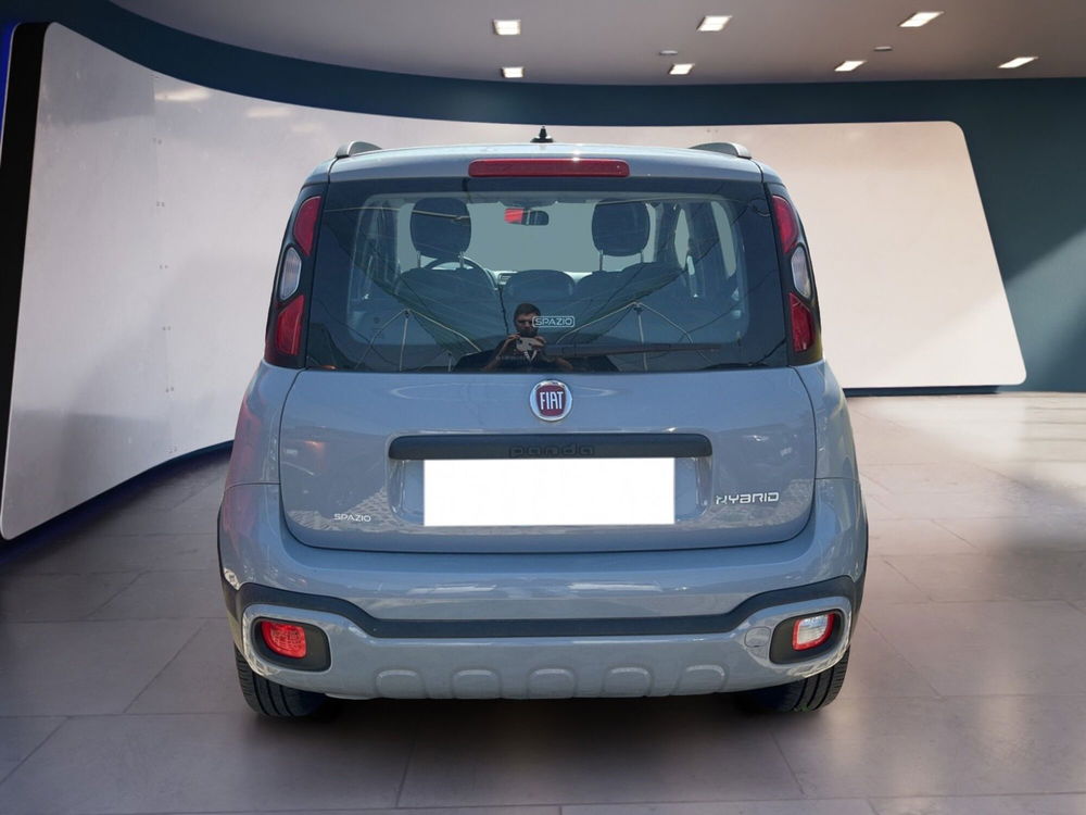 Fiat Panda Cross usata a Torino (6)