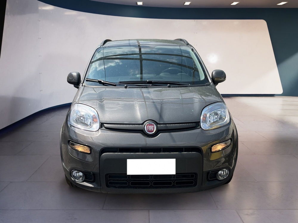 Fiat Panda usata a Torino