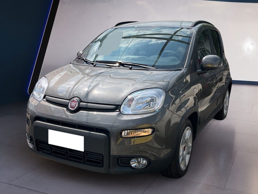 Fiat Panda usata a Torino (2)