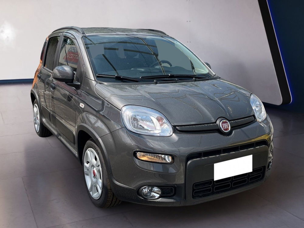 Fiat Panda usata a Torino (3)