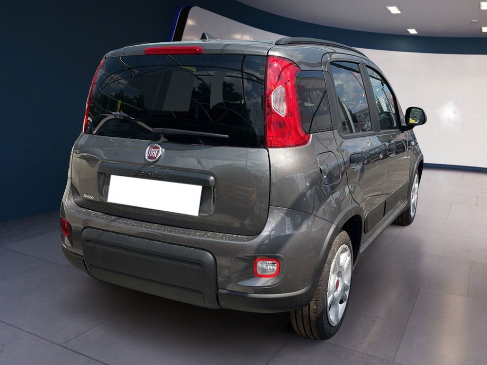 Fiat Panda usata a Torino (5)