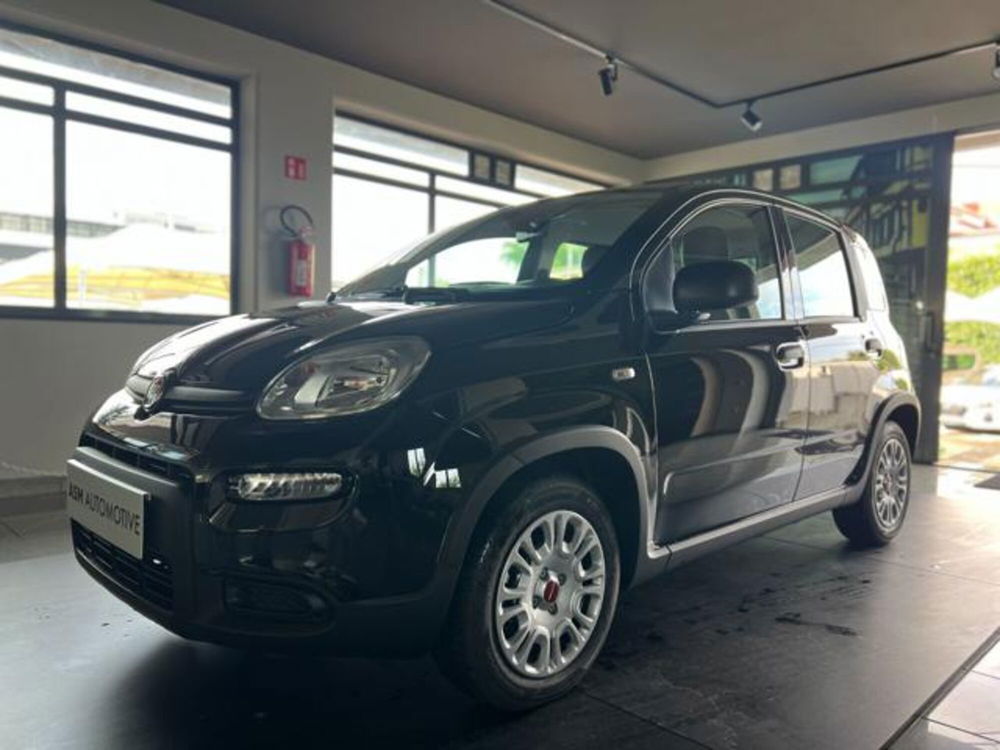 Fiat Panda nuova a Napoli (3)