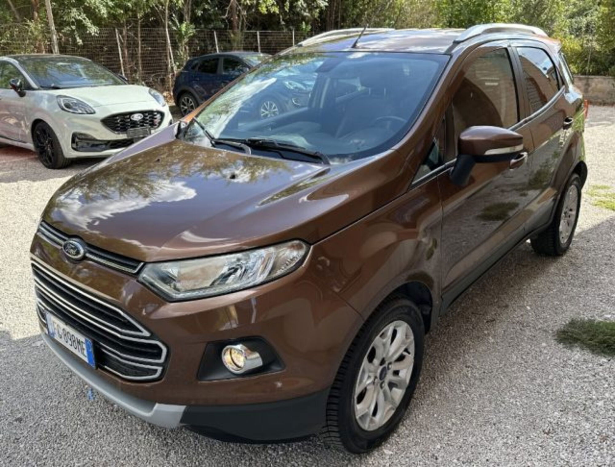 Ford EcoSport 1.5 TDCi 95 CV Titanium del 2016 usata a Roma