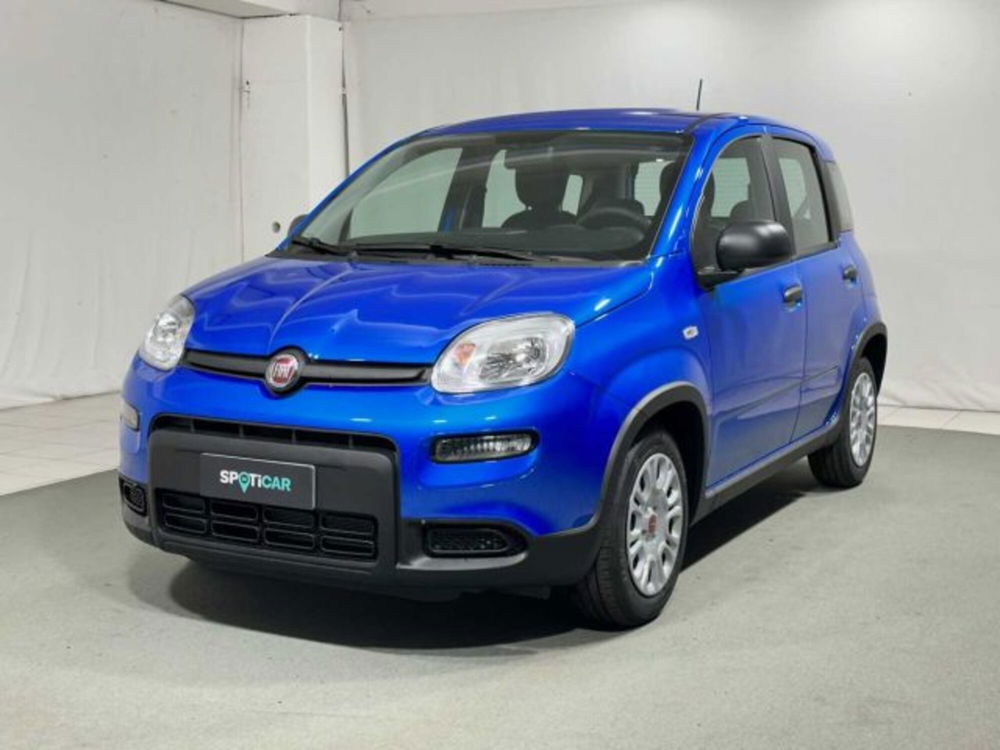 Fiat Panda nuova a Sondrio