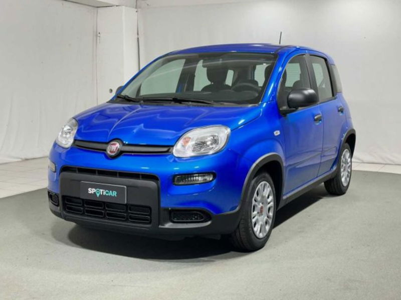 Fiat Panda 1.0 firefly hybrid s&amp;s 70cv 5p.ti nuova a Caspoggio