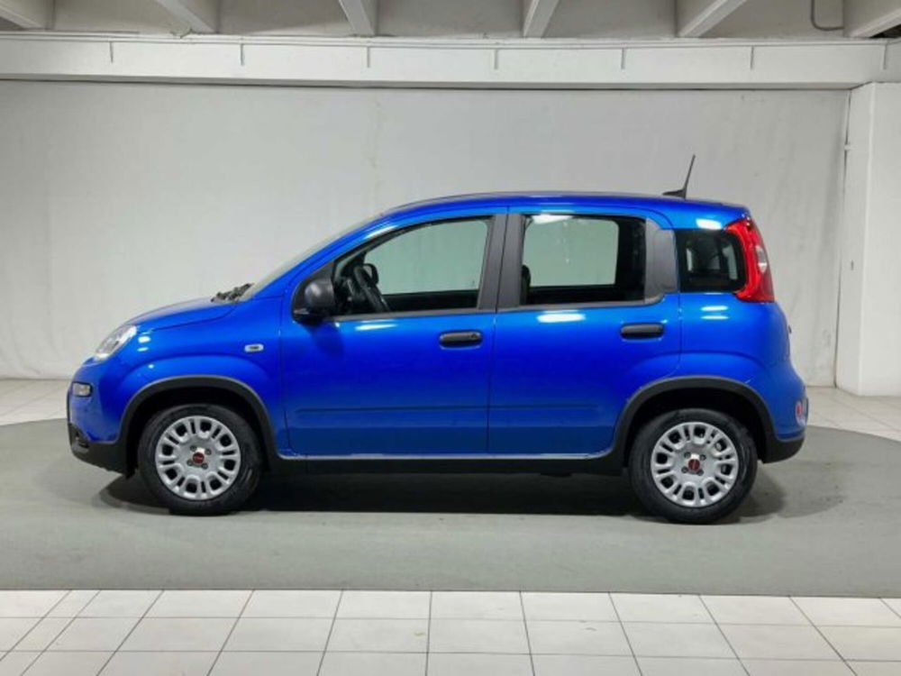 Fiat Panda nuova a Sondrio (2)