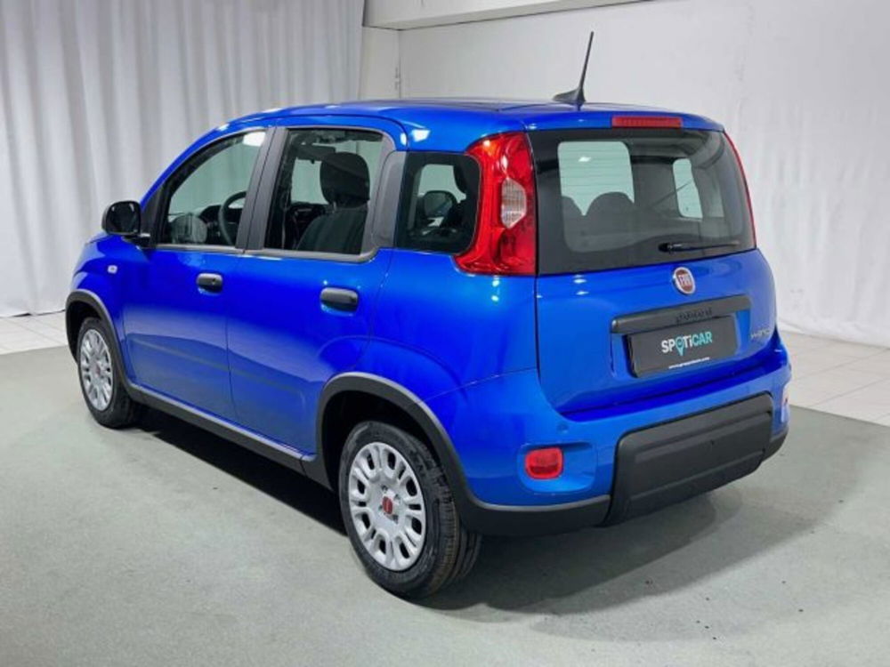 Fiat Panda nuova a Sondrio (3)