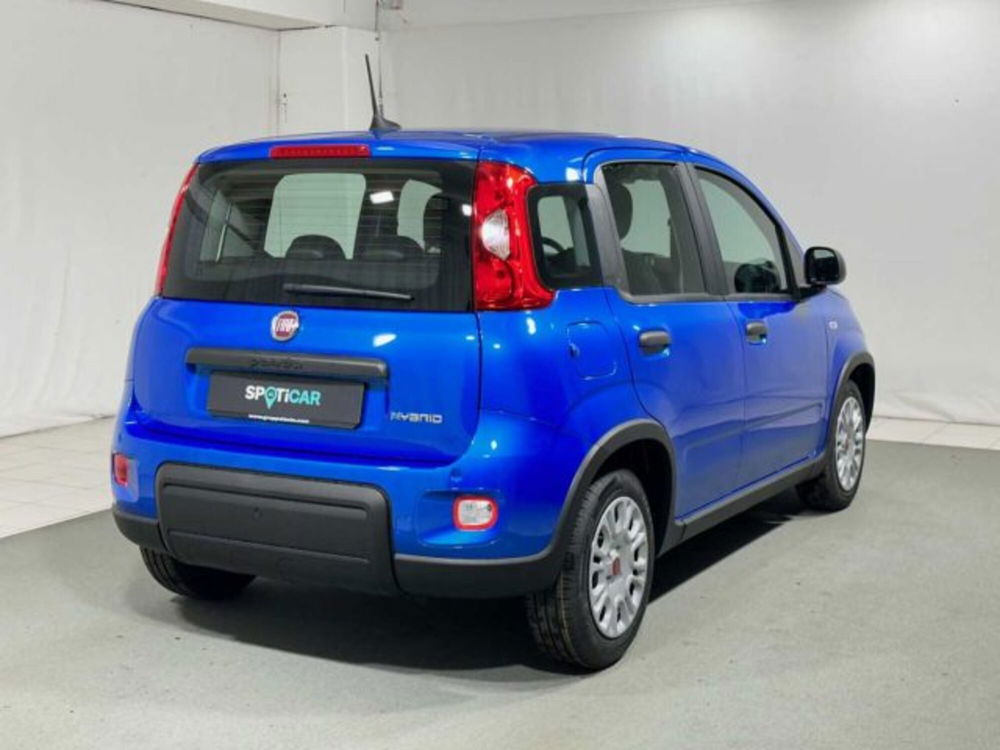 Fiat Panda nuova a Sondrio (5)