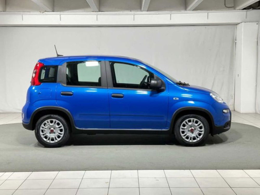 Fiat Panda nuova a Sondrio (6)