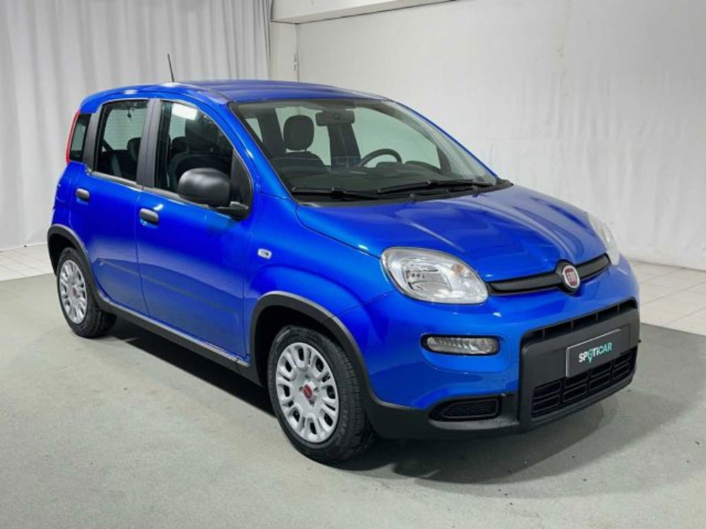 Fiat Panda nuova a Sondrio (7)