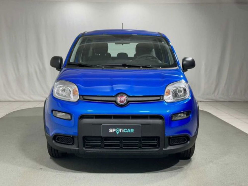 Fiat Panda nuova a Sondrio (8)