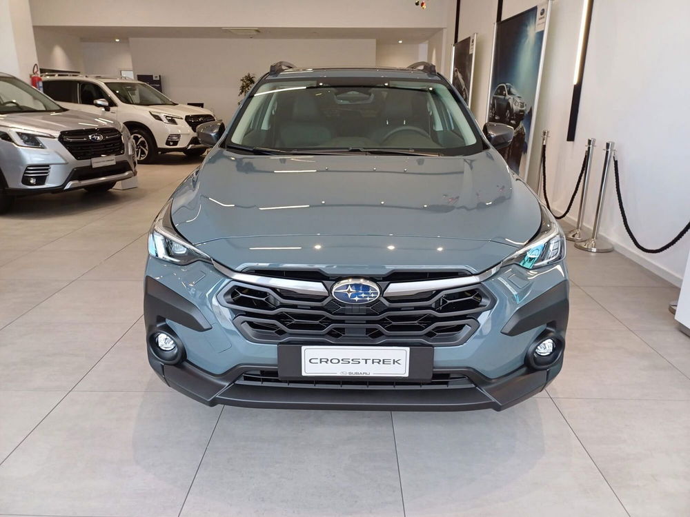 Subaru Crosstrek usata a Bari (2)