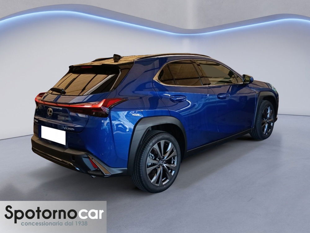 Lexus UX usata a Milano (17)