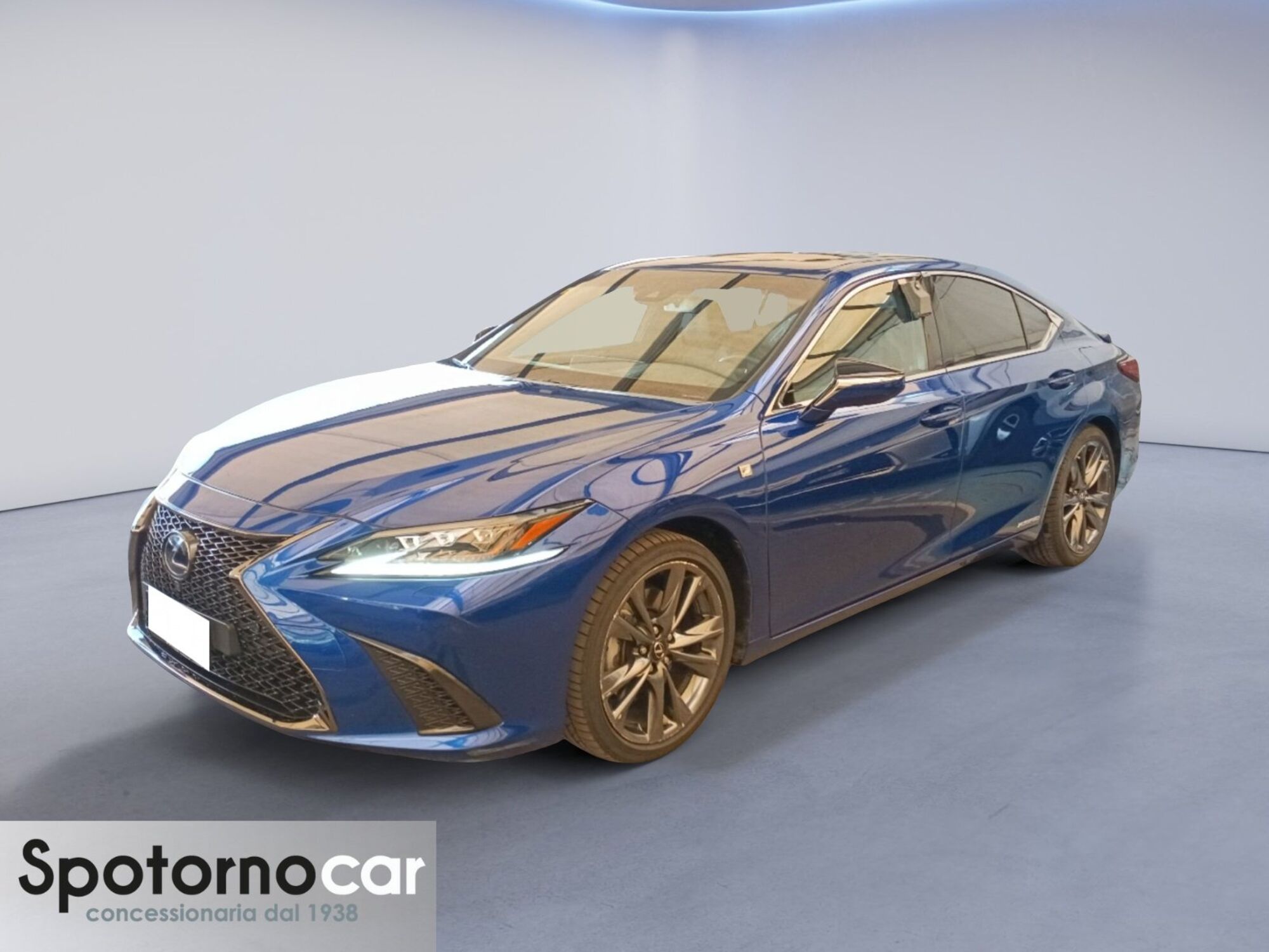 Lexus ES Hybrid FSport  del 2021 usata a Sesto San Giovanni