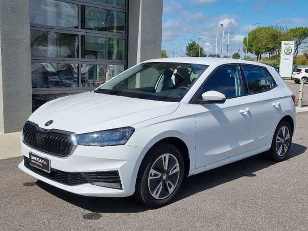 Skoda Fabia usata a Verona (2)