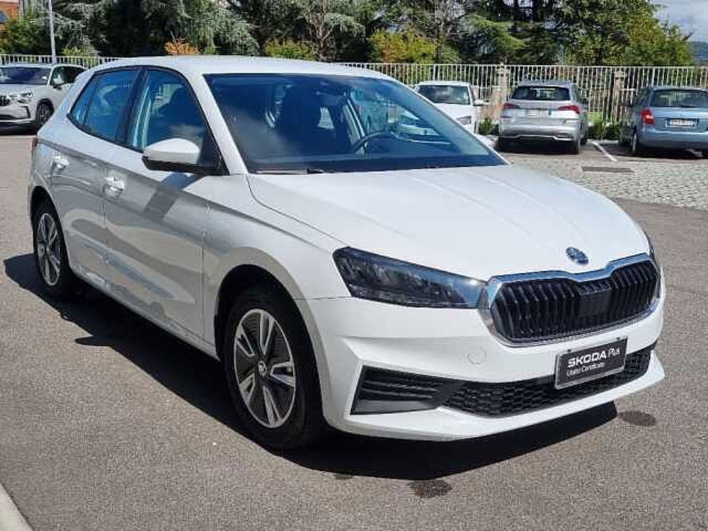 Skoda Fabia usata a Verona (8)