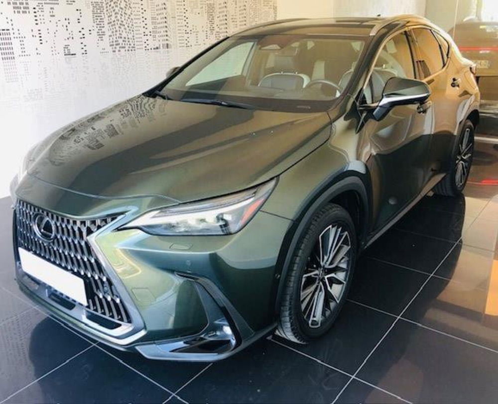 Lexus NX usata a Perugia