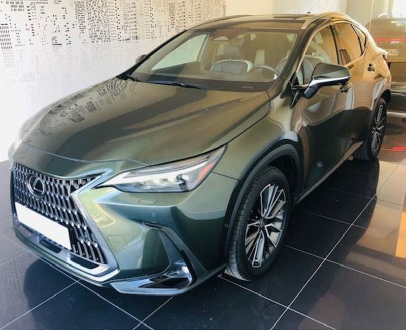 Lexus NX Plug-in 4WD Premium del 2022 usata a Perugia