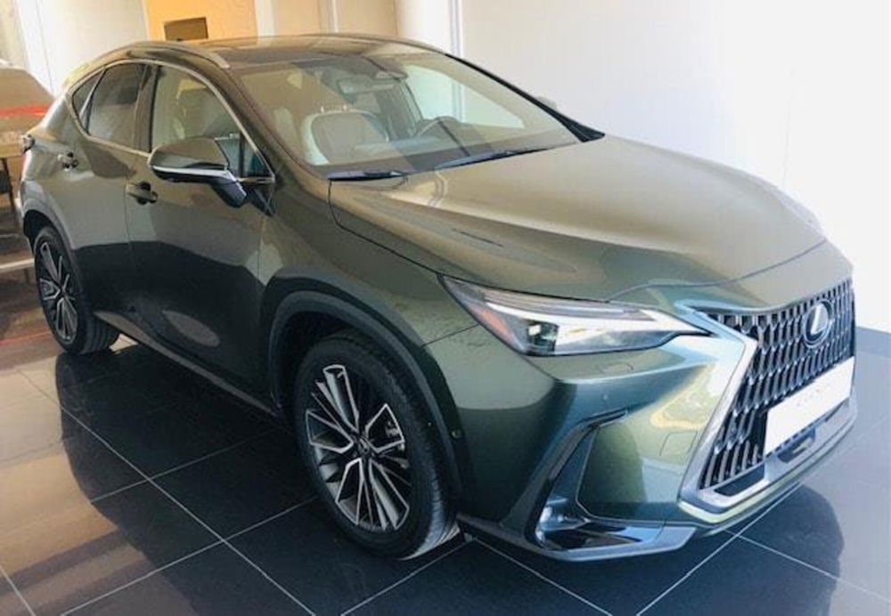 Lexus NX usata a Perugia (3)