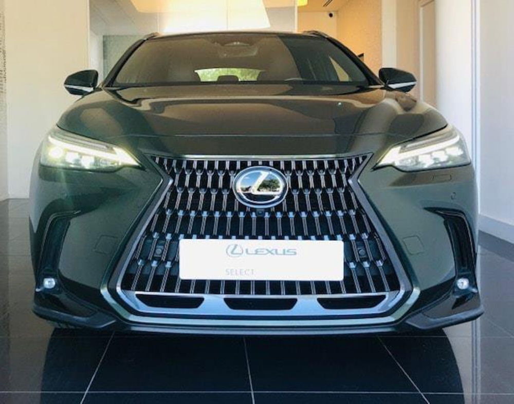 Lexus NX usata a Perugia (4)