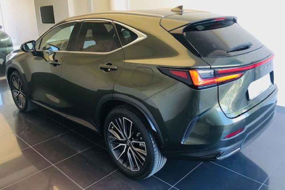 Lexus NX usata a Perugia (5)