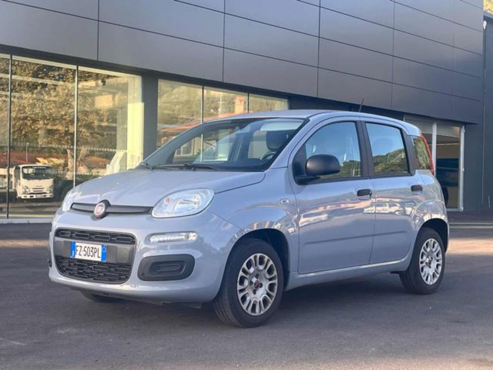 Fiat Panda usata a Lucca