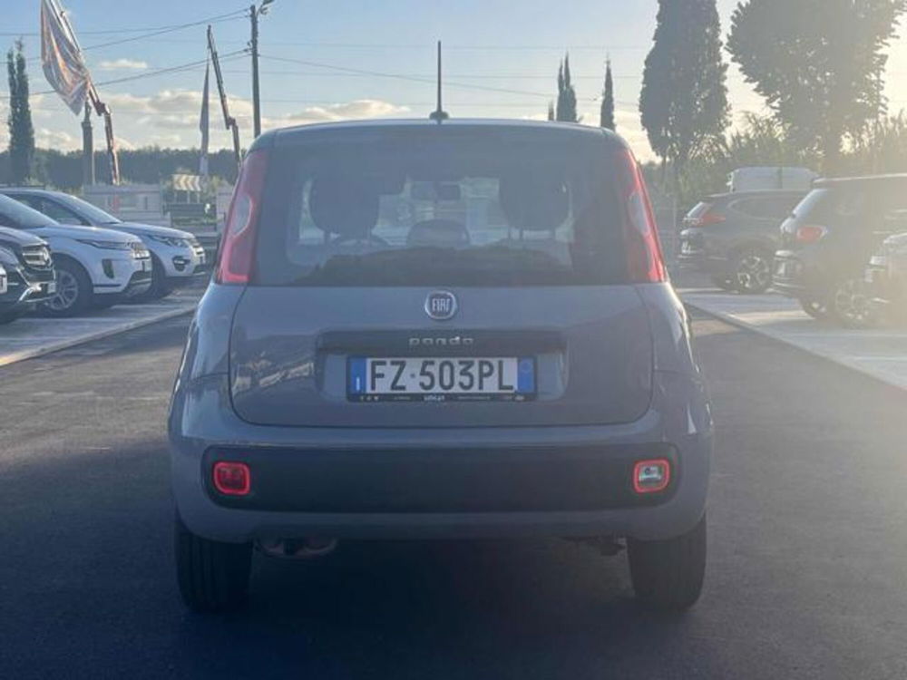 Fiat Panda usata a Lucca (6)