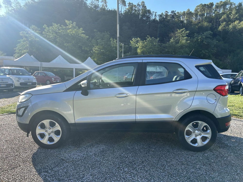 Ford EcoSport usata a La Spezia (4)