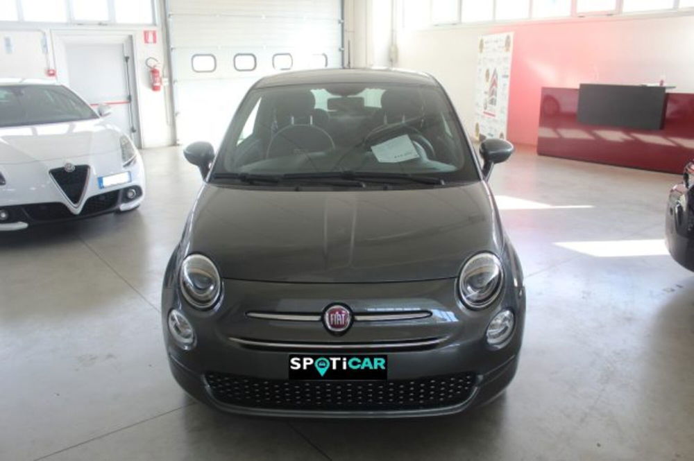 Fiat 500 usata a Terni (2)