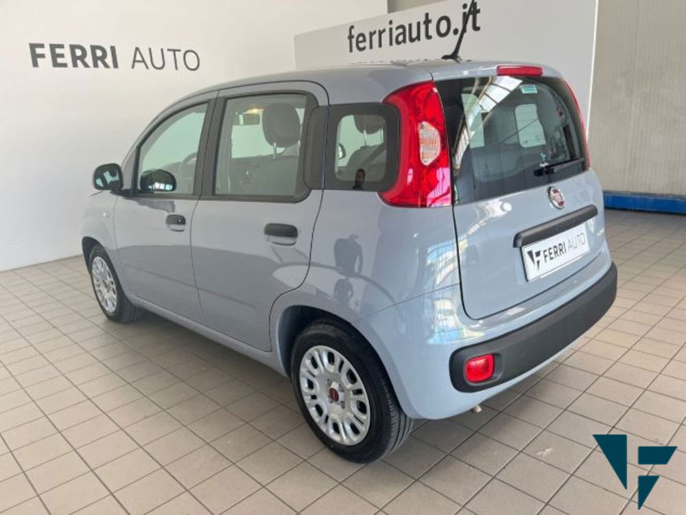 Fiat Panda usata a Udine (4)