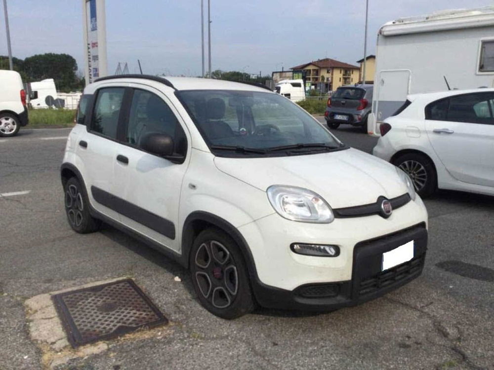 Fiat Panda usata a Arezzo (3)