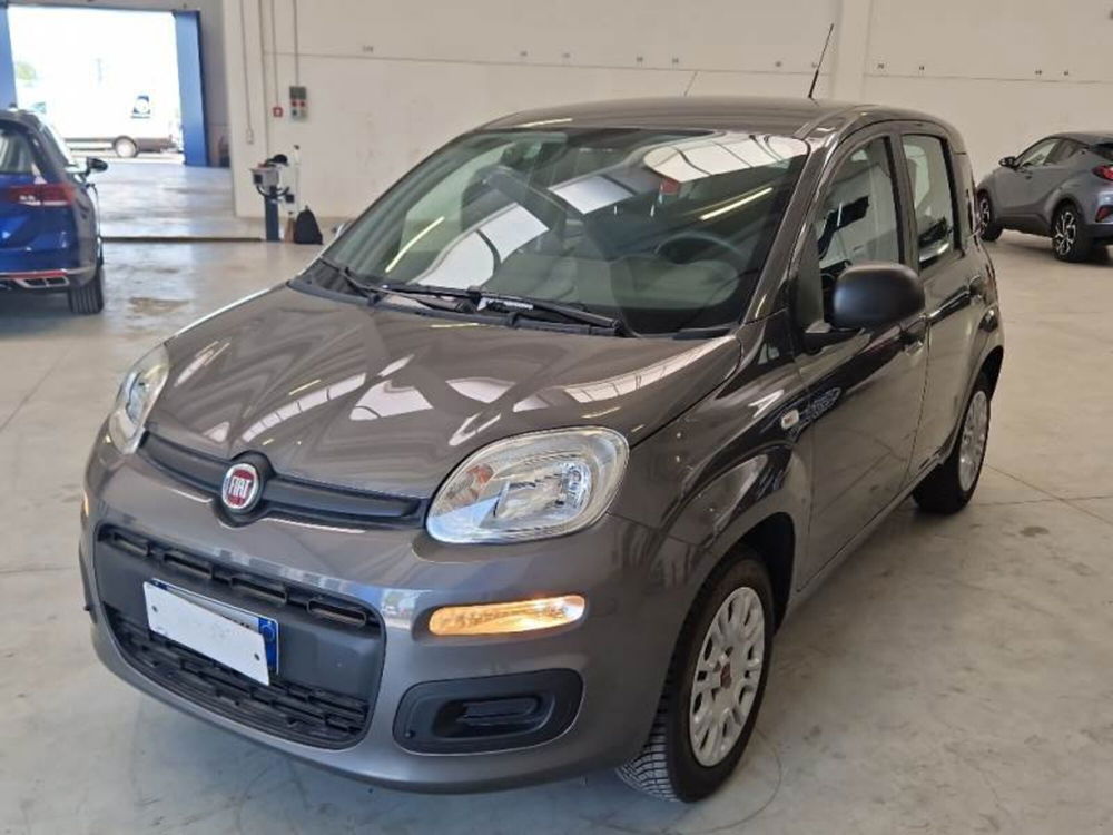 Fiat Panda usata a Arezzo