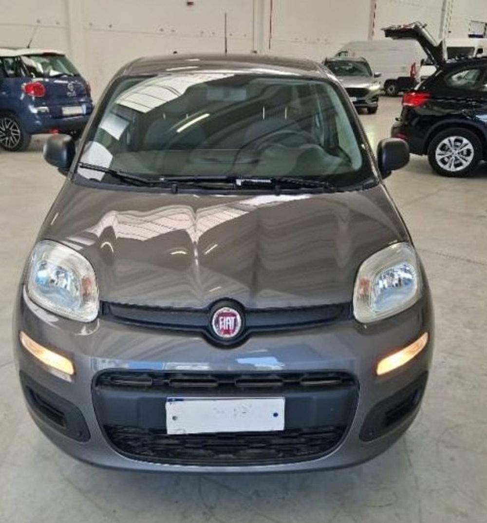 Fiat Panda usata a Arezzo (3)