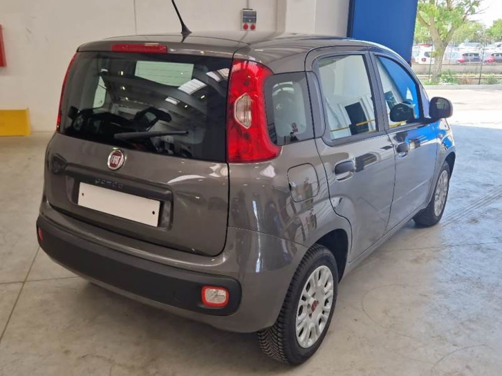 Fiat Panda usata a Arezzo (5)