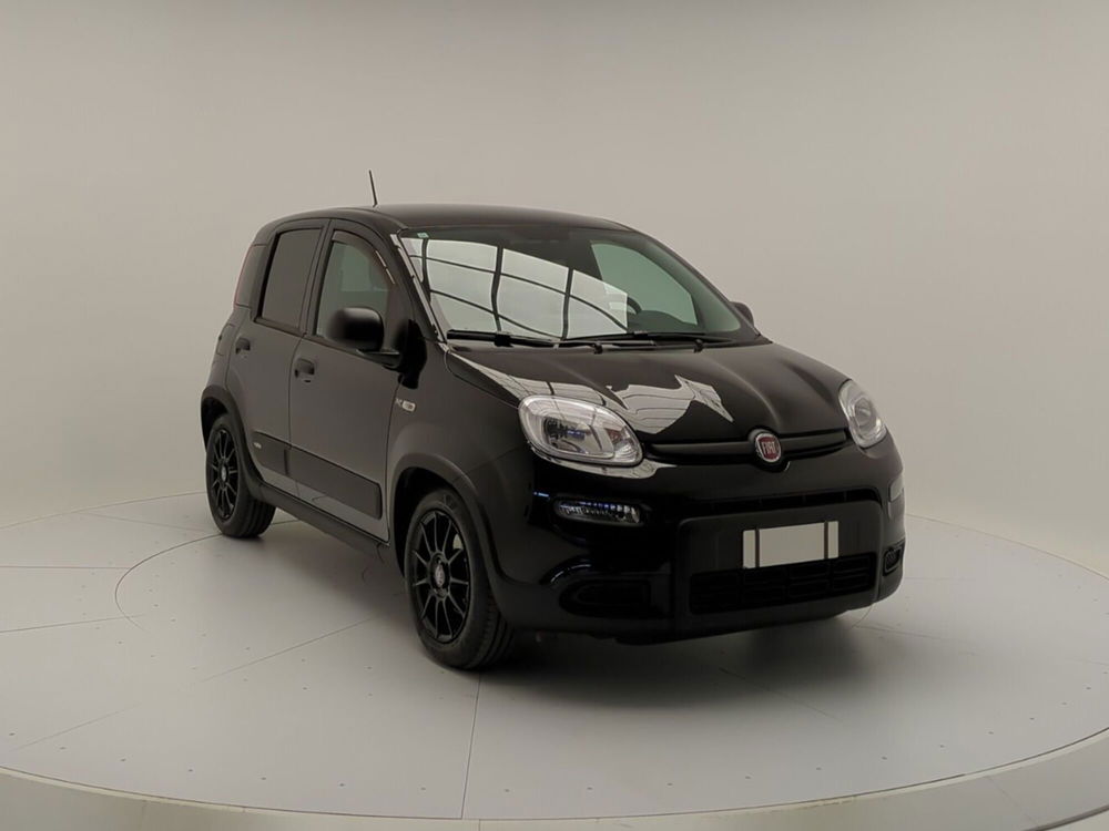 Fiat Panda Cross usata a Avellino