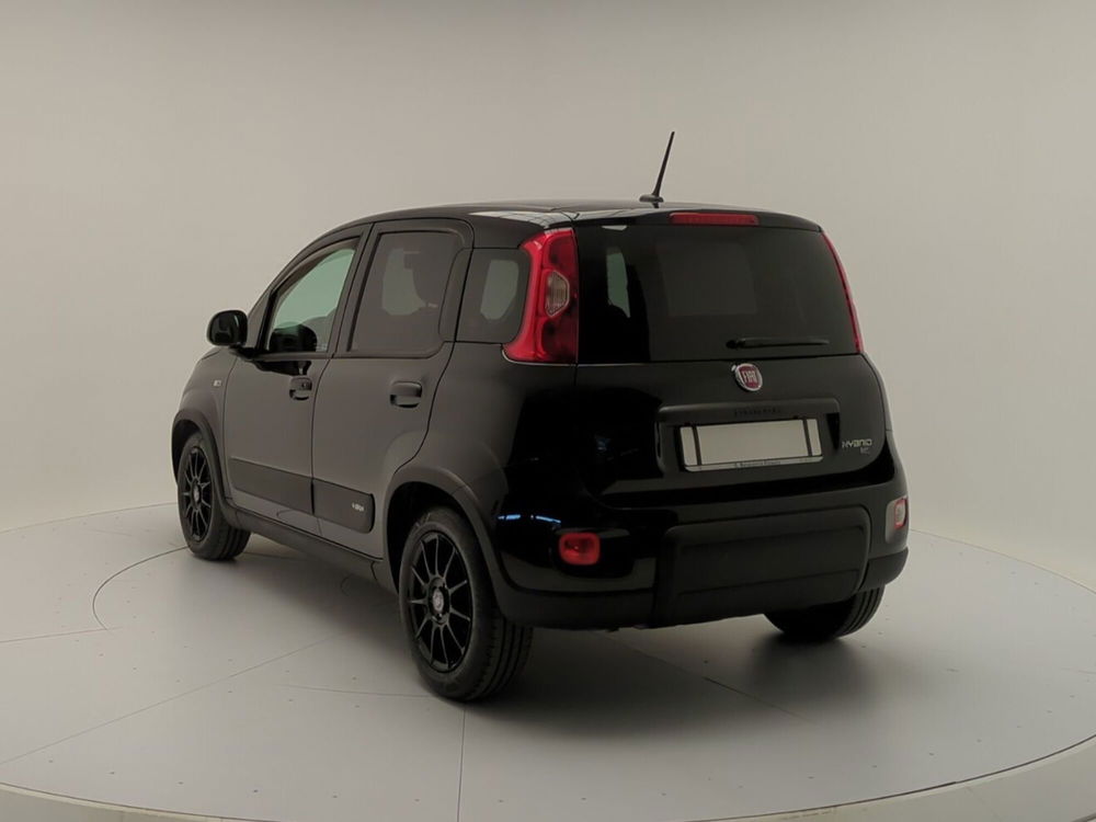 Fiat Panda Cross usata a Avellino (5)