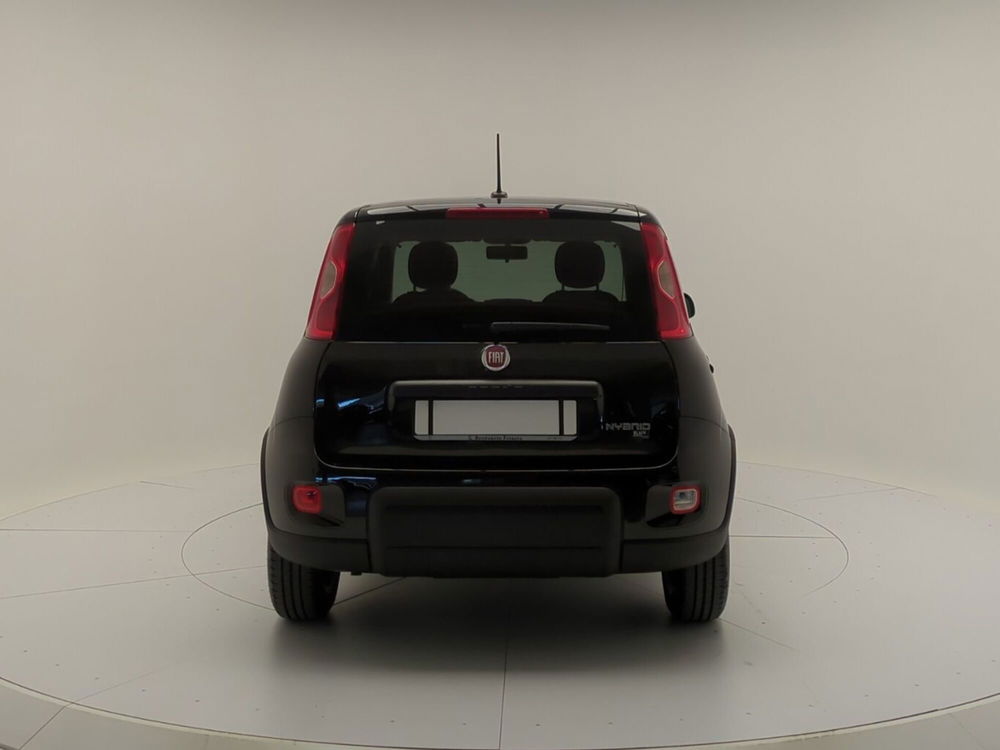 Fiat Panda Cross usata a Avellino (6)