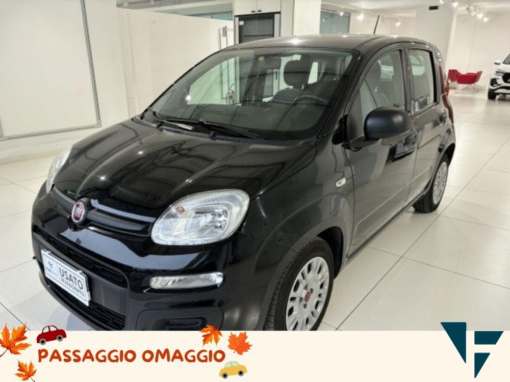 Fiat Panda usata a Treviso