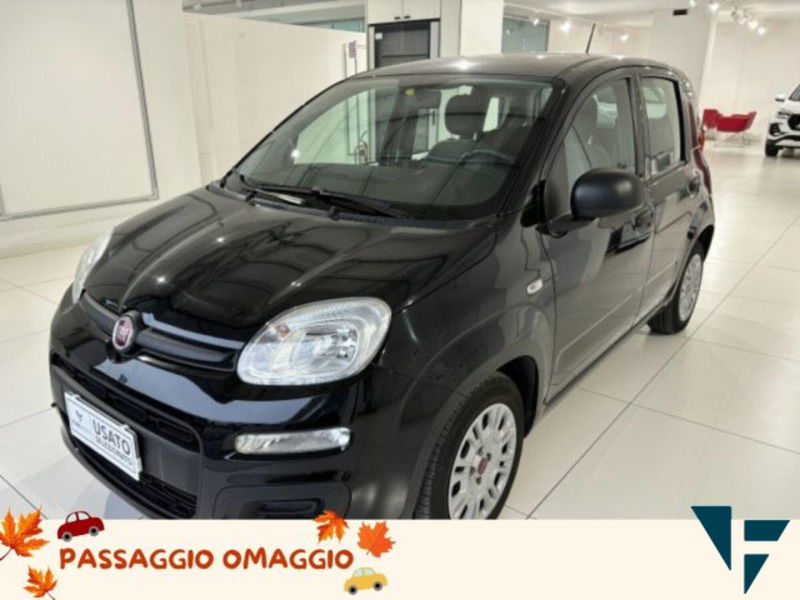 Fiat Panda 1.0 firefly hybrid s&amp;s 70cv del 2021 usata a Villorba