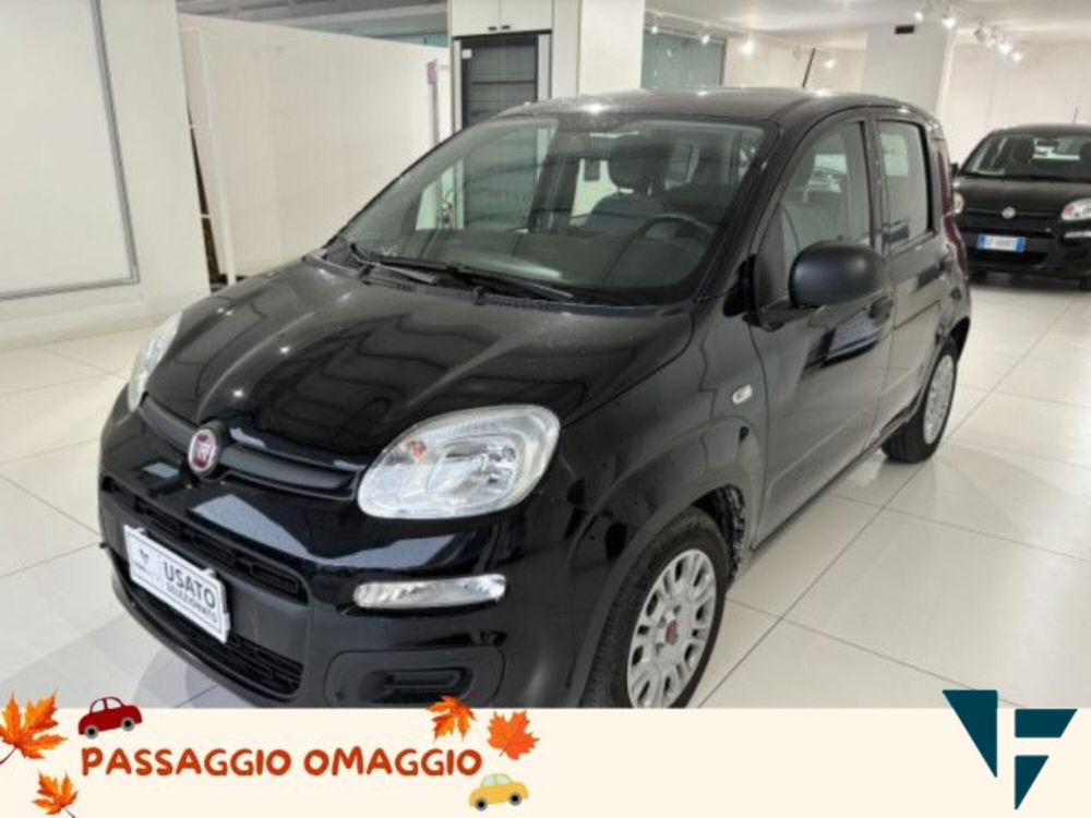 Fiat Panda usata a Treviso