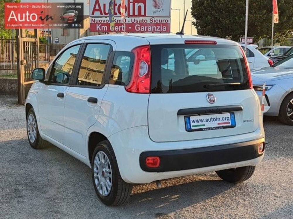 Fiat Panda usata a Benevento (14)