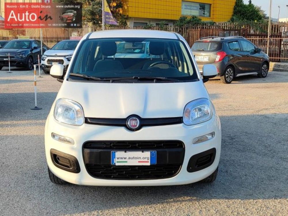 Fiat Panda usata a Benevento (2)